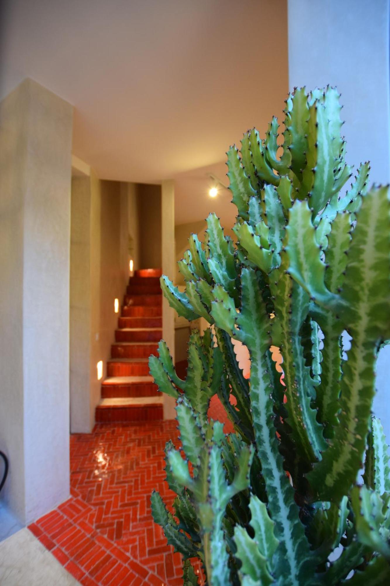 Miostello Lifestyle Riad Marrakech Marrakesz Zewnętrze zdjęcie