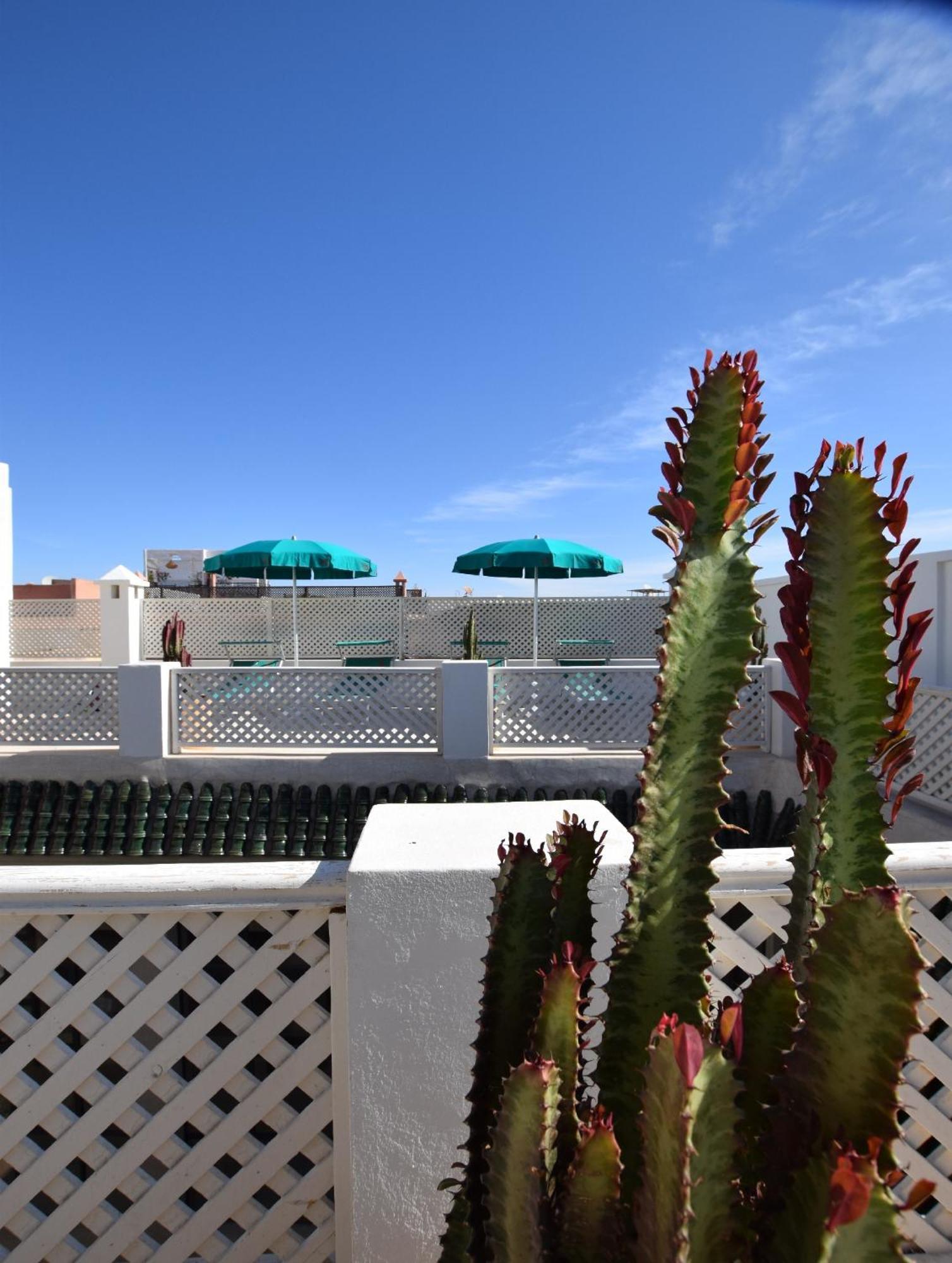 Miostello Lifestyle Riad Marrakech Marrakesz Zewnętrze zdjęcie