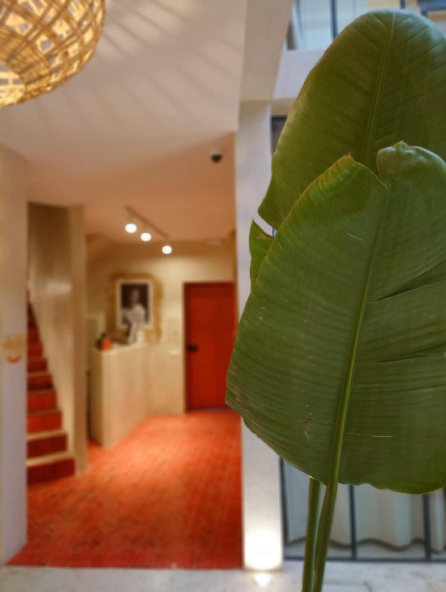 Miostello Lifestyle Riad Marrakech Marrakesz Zewnętrze zdjęcie